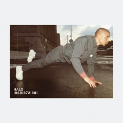 Tryksager udarbejdet for Newline HALO.